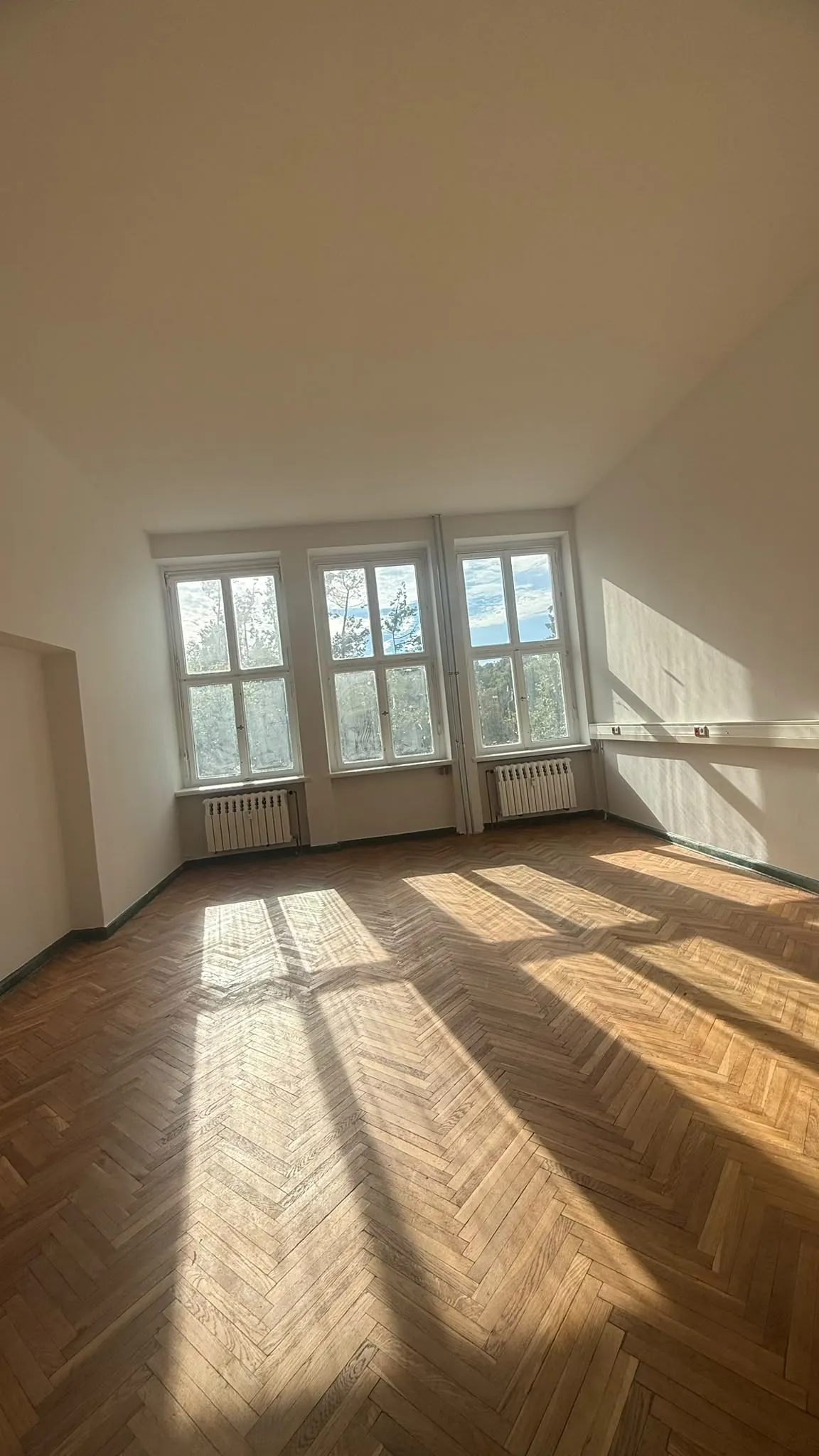 Renovierter Büroraum mit Fensterfront und Sonnenlicht auf dem Parkett