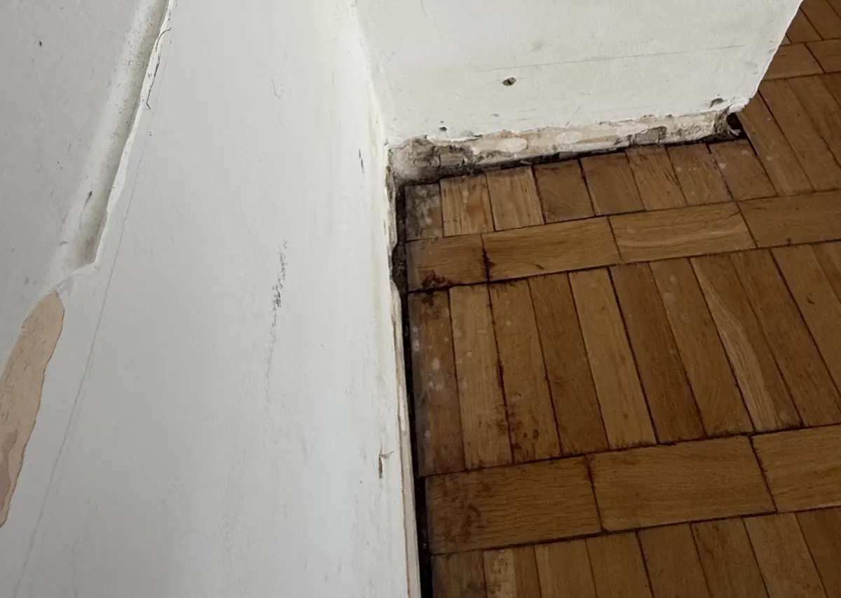 Abgeplatzter Putz im Sockelbereich